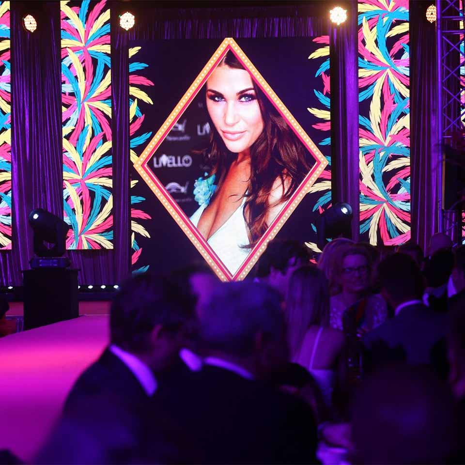 TUV Approved LED Screen for Germany Theater